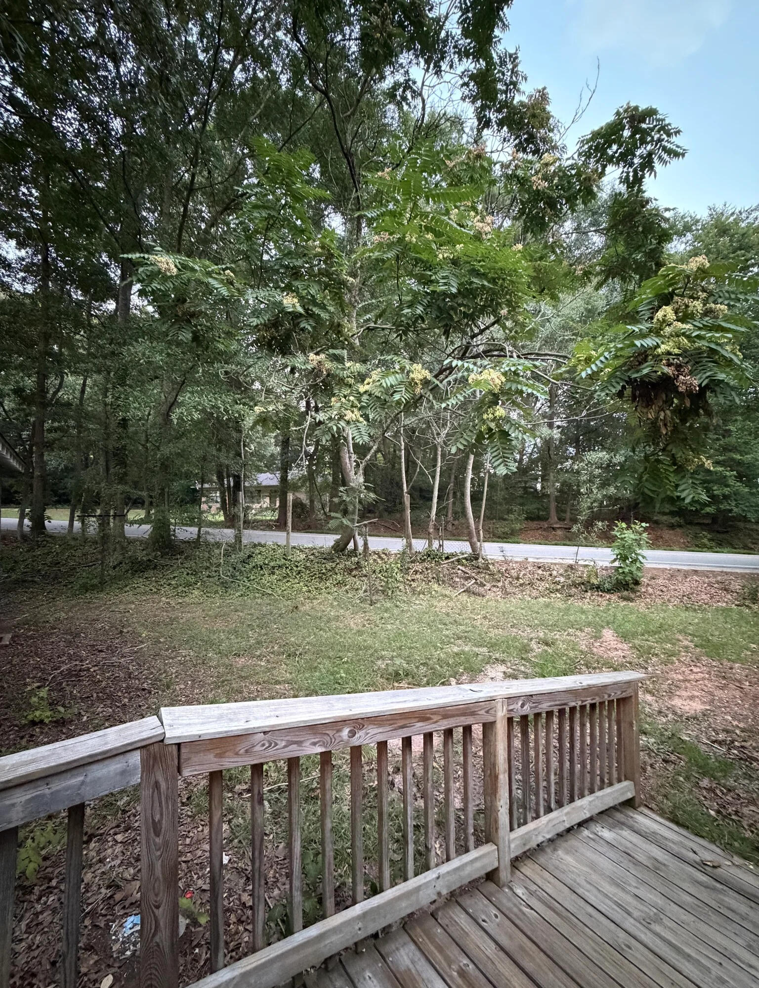 Pasadena Avenue — a neighborhood place to unwind Deck at the Pasadena Avenue home overlooking trees and the neighborhood